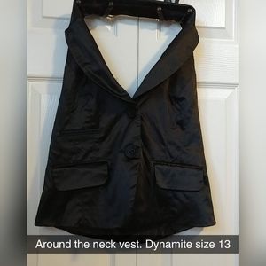 Around the neck vest